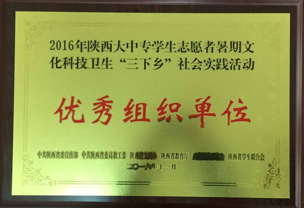 2016年陕西大中专学生志愿者暑期文化科技卫生“三下乡”社会实践活动优秀组织单位（2016年11月）.jpg