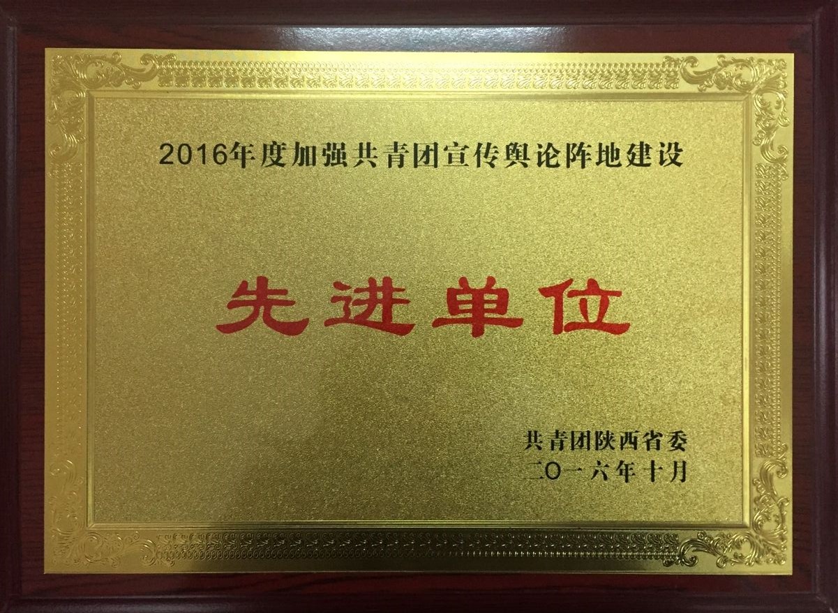 2016年度加强共青团宣传舆论阵地建设先进单位（2016年10月）.jpg