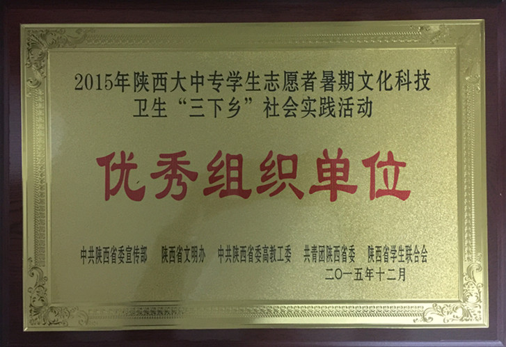 三下乡先进单位.jpg